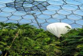 The humid biome at the Eden Project