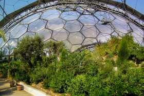 The temperate biome at the Eden Project