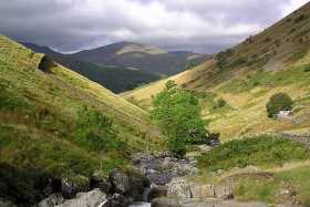 Birks in the distance