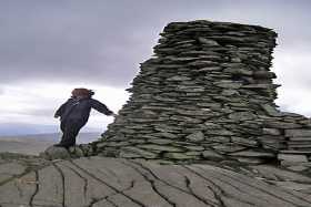 Wuthering Heights - Heather at Thornthwaite Beacon