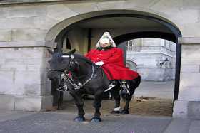 A mounted guard on duty at Horseguards Parade