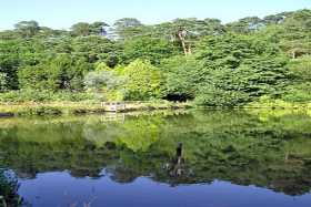 The Mill Pond at Friday Street, in the North Downs near Leith Hill