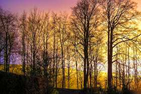 A shower at sunset provides a colourful backdrop to this scene
