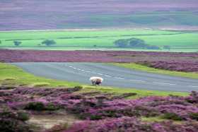 North Yorks moors