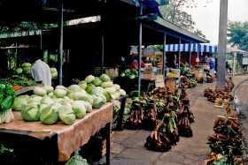 Shopping at the Nausori market