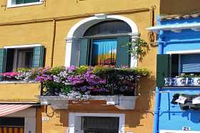 A typical Venetian window box full of flowers seen here on Burano