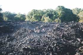 Lava rocks on Rangitoto Island