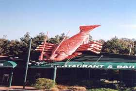 The Maori name Kaikoura translates as meal of crayfish