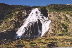 Bowen Falls at Milford Sound