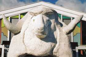 The big sheep at Hokitika