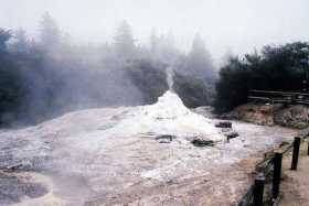 Lady Knox geyser