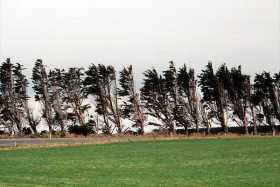 Windy here in Southland