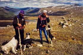 Two men and their dogs - the Jotunheimen shepherds