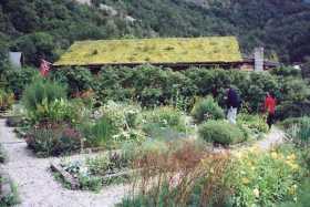 The herb garden at Stream Nest