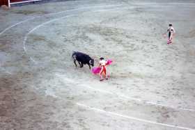 The matador occupies the bull as the banderillero (right) prepares to charge